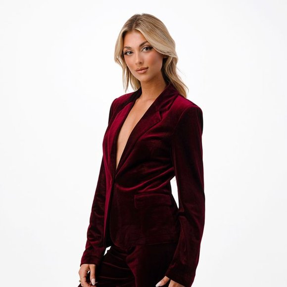 Burgundy Velvet Blazer - Picture 3 of 5